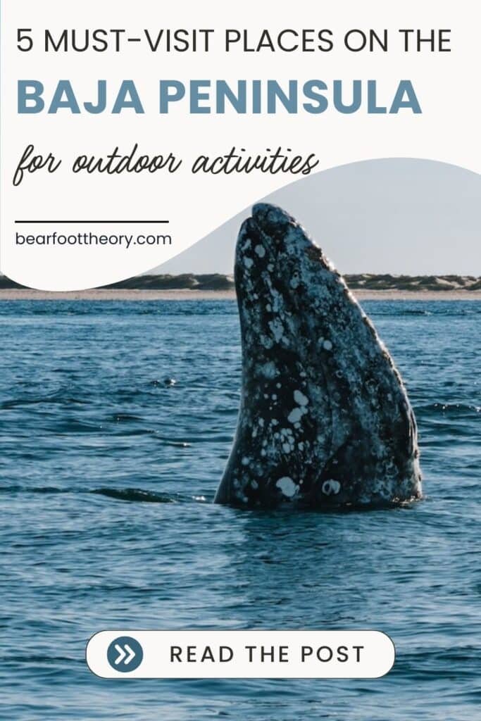 A pinnable image of a whale off the coast of Baja with the words "5 must-visit places on the Baja Peninsula for Outdoor activities"
